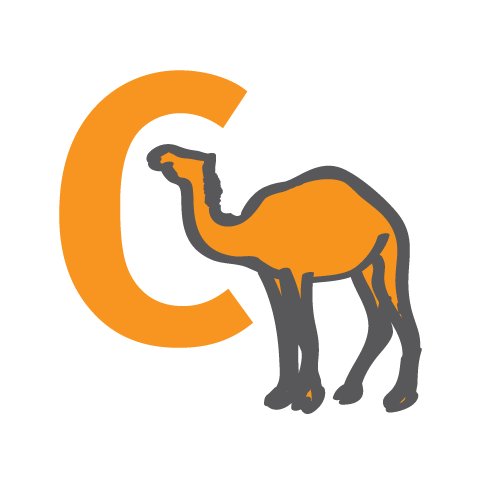 CamelCase data Profile