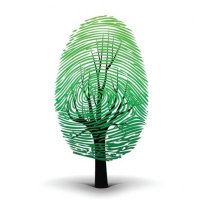 Nada Alkhani (@nalkhani) 's Twitter Profile