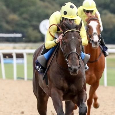 Jack Mitchell Profile