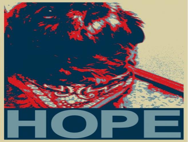 CheweytheShit's profile picture. My name is Chewey Montoya.  You killed my father. Prepare to die.