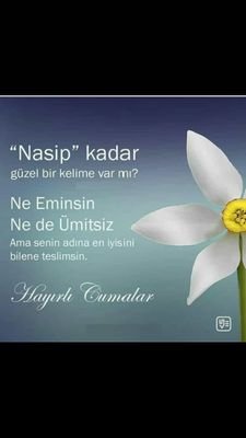 Bir garip ölmüş diyeler, soğuk sular ile yuyalar şöyle garib bencileyim.(yunus emre)