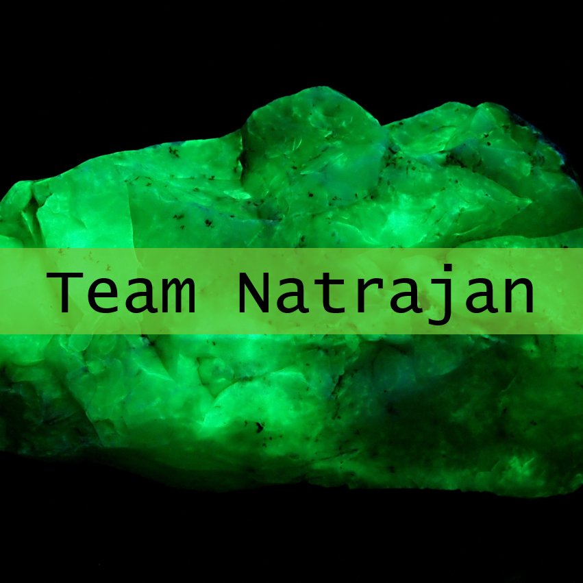 Team Natrajan Profile