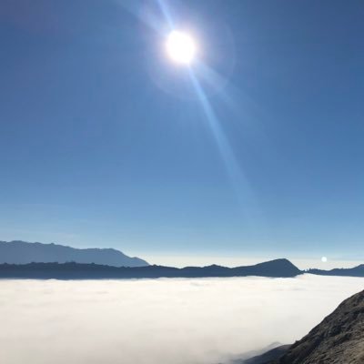 Rogeliofunes's profile picture. 