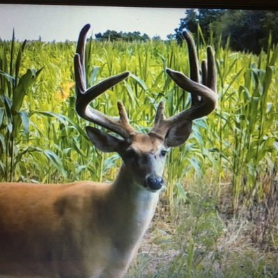 Bowhunter. Dad Taxi. Bird Chaser. Meat Cooker.