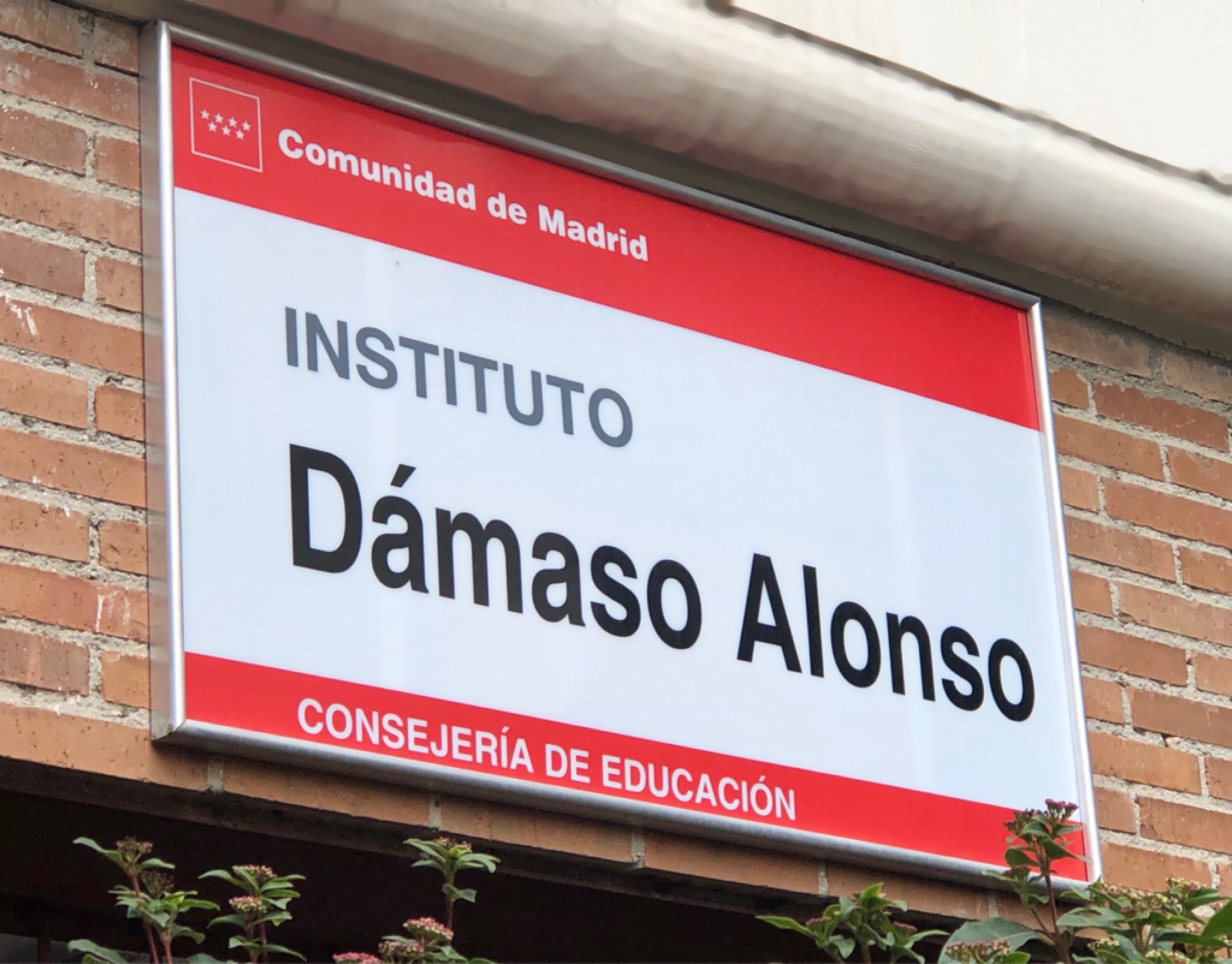 DamasoAlonsoIES's profile picture. Cuenta creada para mostrar los proyectos que desarrolla el IES Dámaso Alonso (Madrid-Capital). Centro bilingüe y STEM.