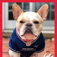 SouthElementary (@southelandover) 's Twitter Profile