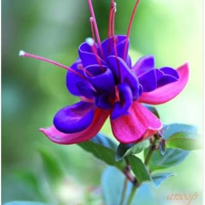 SanjayS45188524's profile picture. Struggle is our Strength...