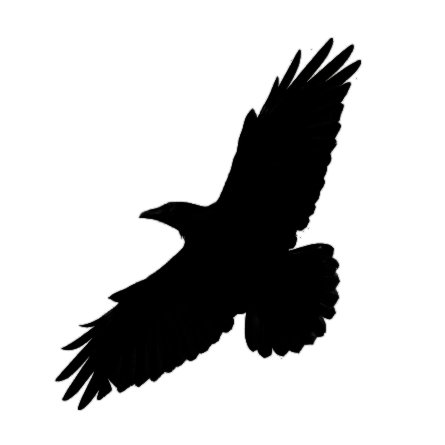 crow821さんのプロフィール画像