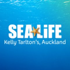 SEA LIFE Kelly Tarlton's Aquarium