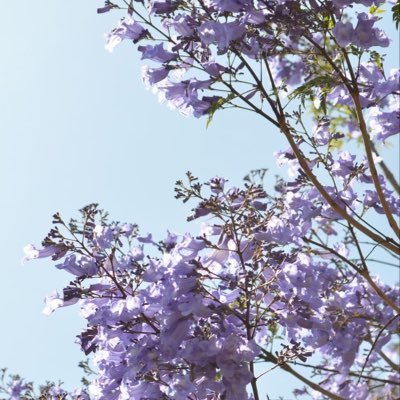 TheArmagidon's profile picture. ARMAGIDON THE WORLD.