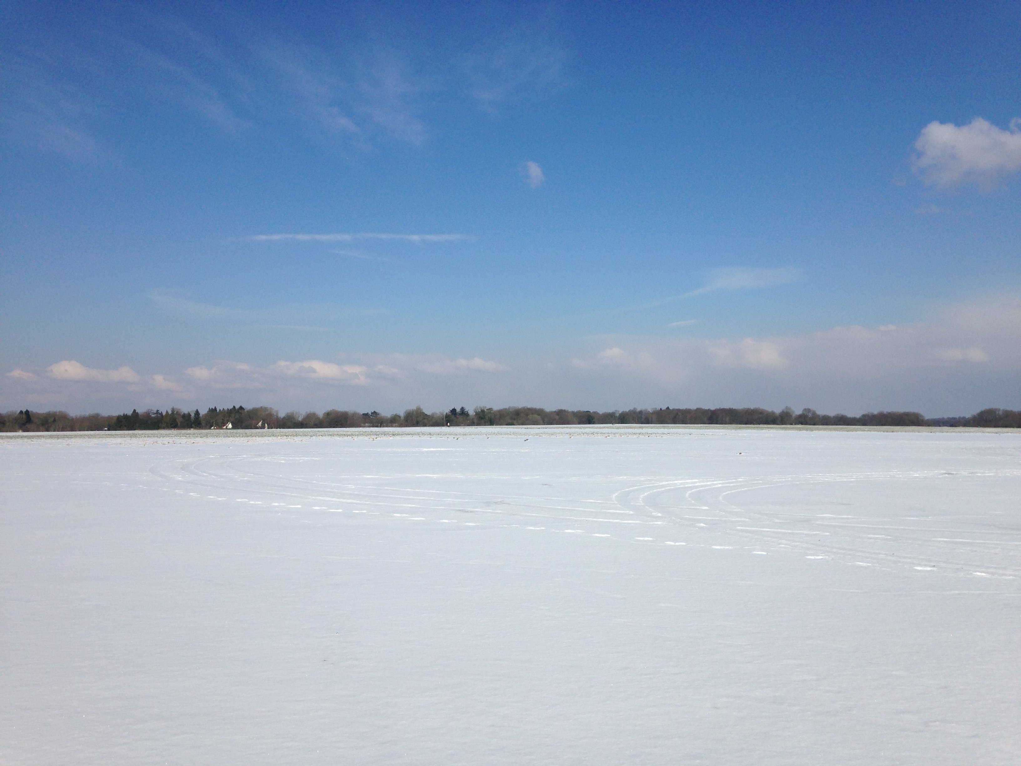 daphneh236's profile picture. ⚖️support democracy-block rude tweets-NO DM's British/Northern Irish/European.Former NHS nurse practitioner & NHS supporter💙free speech🍀🌻