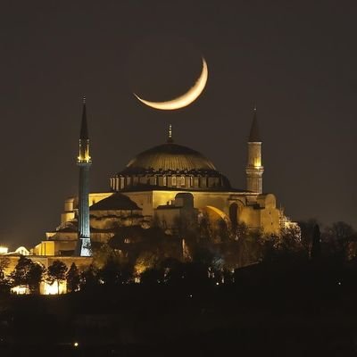 rootko27's profile picture. 