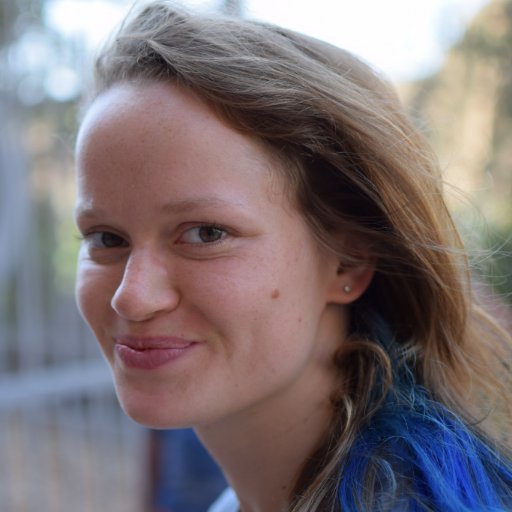 AI Ethics | Researcher at @deepmind | Measuring and Evaluating AI | Philosophy, Psychology | All views my own | London, Berlin | Mastodon: lauraweidinger@mas.to