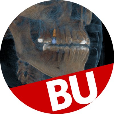 The official Twitter account of the Boston University Henry M. Goldman School of Dental Medicine. The future of dentistry begins here 🦷 #BUdental