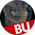 BU Dental (@budental) Twitter profile photo BU Dental (@budental) Twitter profile photo