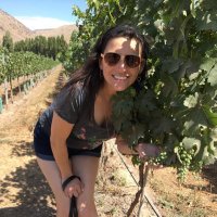 Misu Gallo (@misugallo) 's Twitter Profile