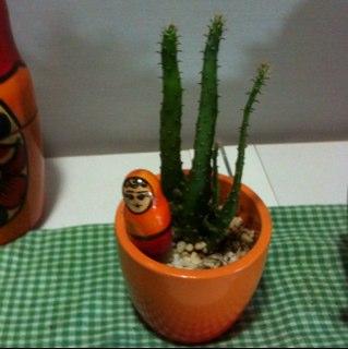 saturdayp's profile picture. ENFP 와 INFP 사이 (ENFJ가 되고 싶어요) 일단 대만여행썰, 취미로 하는 외국어 공부 그 외 잡다한 수다