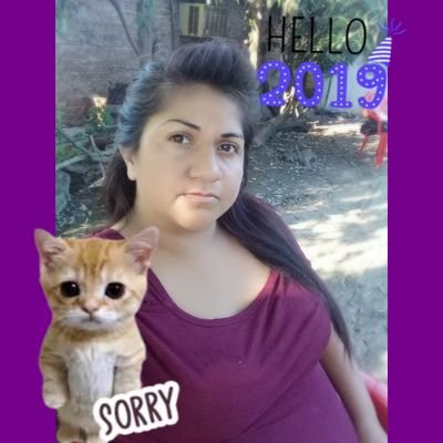 Johana450's profile picture. Adicta a los Errores Ortográfico  ... 
5 en Lengua ....