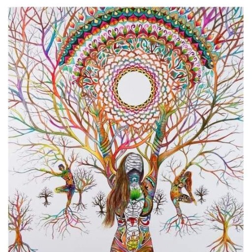 Intrepid wanderer oversaturated in divine blessings / privilege. Ordinary human steward of unknown potential. https://t.co/2cPXZOpAm2
