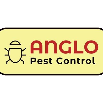 Professional Pest Control in Kent and South East London. Fully qualified and insured.