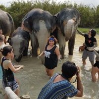 Bridgett McMillan (@bmac0813) 's Twitter Profile
