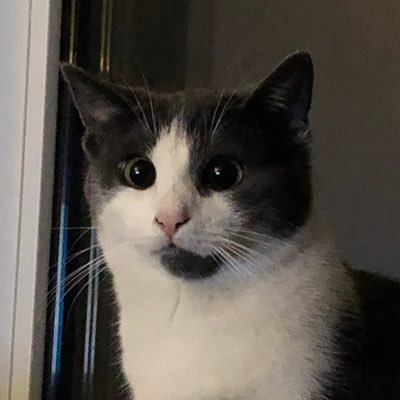 Astkirsche's profile picture. 