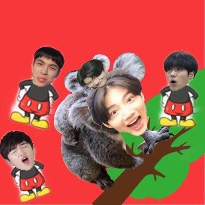 papapapapaa00's profile picture. 脳内お花畑野郎💐💐