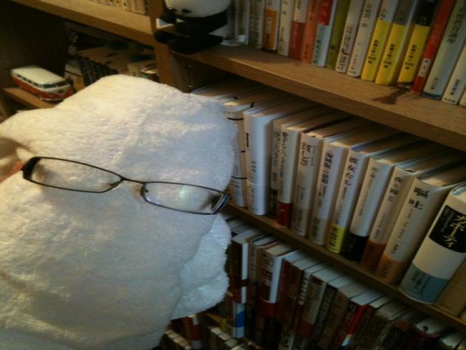 kazztaka's profile picture. 編集者