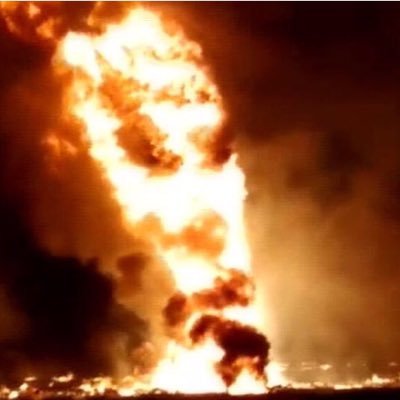 KtreeU's profile picture. From Youkitripitweet... (shadow-profil of the humanity)