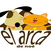 EL ARCA DE NOE (@arcadnoe) 's Twitter Profile Photo