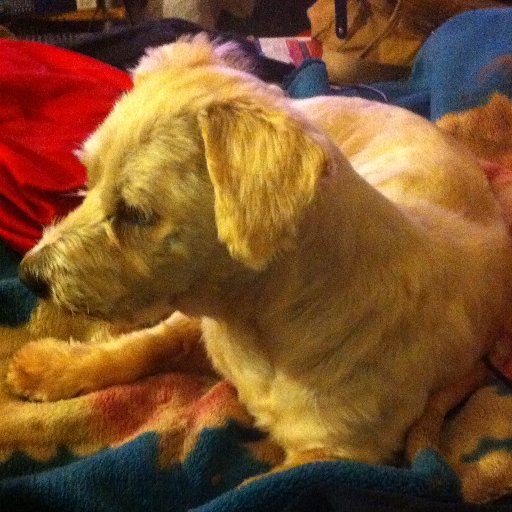 ali786is1's profile picture. 