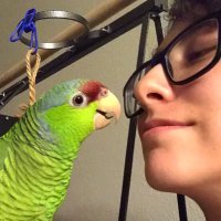 dr Bren Ram, haver of PhD (@wordunderstandr) 's Twitter Profile
