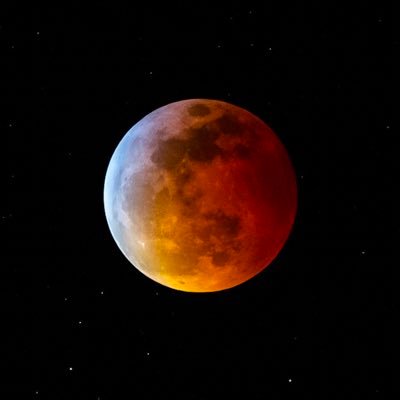 dailyth77912020's profile picture. Thoughts