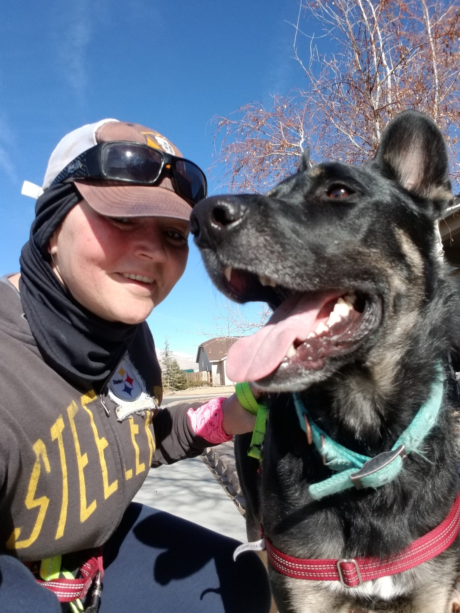 nevada_home's profile picture. We have the best certified dog training, boarding and care in Dayton.