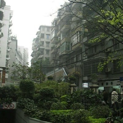 Salmahm28648357's profile picture. 