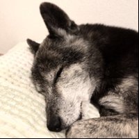 水島 博史(水島 醉) (@ichbinjetzthier) 's Twitter Profile Photo 水島 博史(水島 醉) (@ichbinjetzthier) 's Twitter Profile Photo