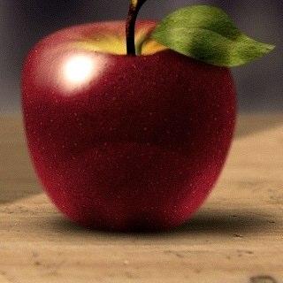 FitWorkout's profile picture. For All Your Fitness Workout Needs!