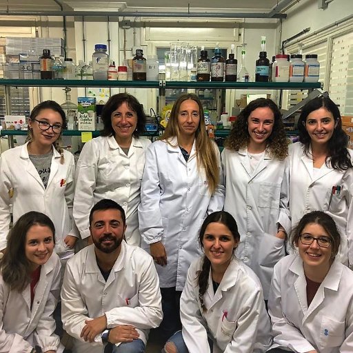 Pallasgroup studies molecular pathways implicated in neurodegenerative processes and conducts early preclinical studies studying new chemicals against AD.
