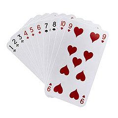 28 is one of a group of Indian trick-taking card games in which the Jack and the Nine are the highest cards in every suit.