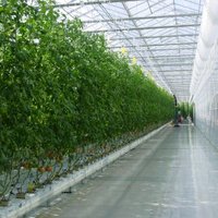 CMW Horticulture Ltd (@cmw_hort) 's Twitter Profile