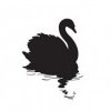 afterche (@afterche) 's Twitter Profile