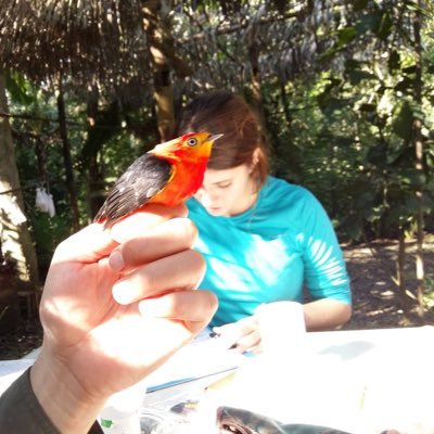 PhD Student at Doñana Biological Station - CSIC. Interested in conservation, genomics, wildlife and parasites.
(she/her)

Extremeña

https://t.co/RFNHxO10qF…