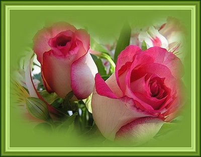 willymar's profile picture. 