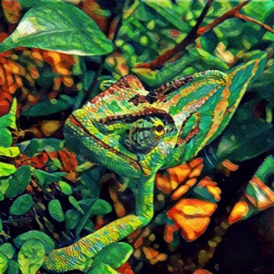 suuu63's profile picture. ゲーム、お散歩、釣り、写真が趣味のアラサー。副交感神経強め。夜を乗りこなす。