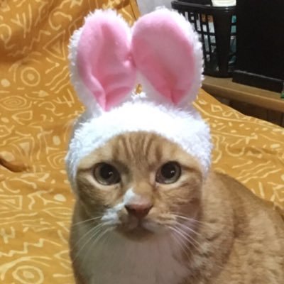 アルビ大好きポジティブおばちゃんサポです！誰が化けるかワクワクのシーズンへ。❣️どんな時も一途に応援！レディースもがんばれ❗️