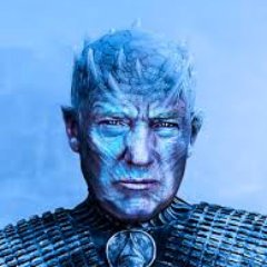 GameOfTrumpsHBO Profile Picture