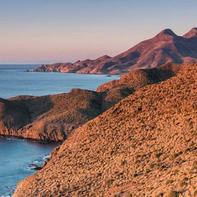 portocarrerosol's profile picture. 