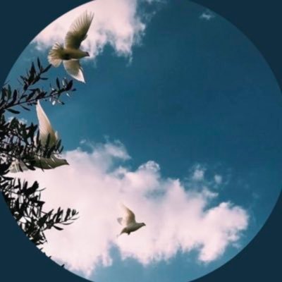 dreamer_2023's profile picture. 