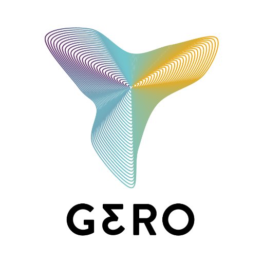 Gero is a data-driven biotech company. We develop new drugs against aging and other complex diseases using our AI platform. Founders: @fedichev and @geromaxim