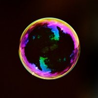 D3 Bubble Watch(@d3bubble) 's Twitter Profileg